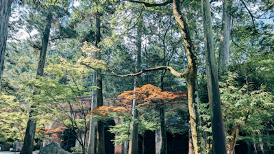 Fukui