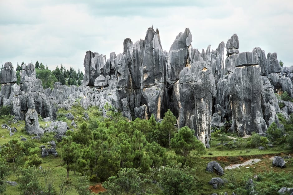 Akiyoshidai Plateau