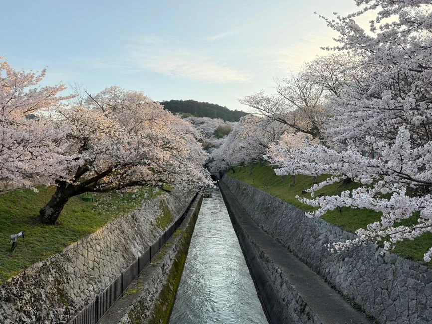 Keage Incline, Kyoto: the full Biwako Sosui canal walk