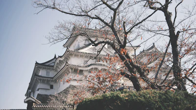 Himeji City Museum of Art