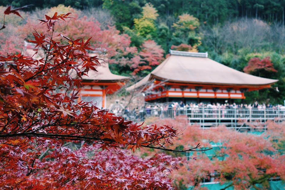 Kyoto