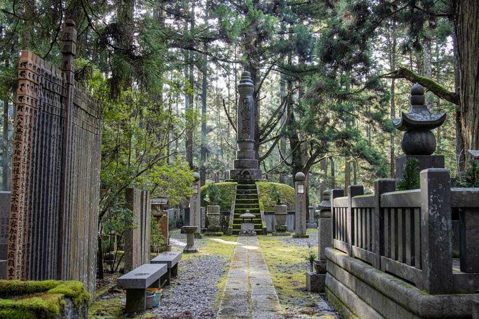 Mount Koya