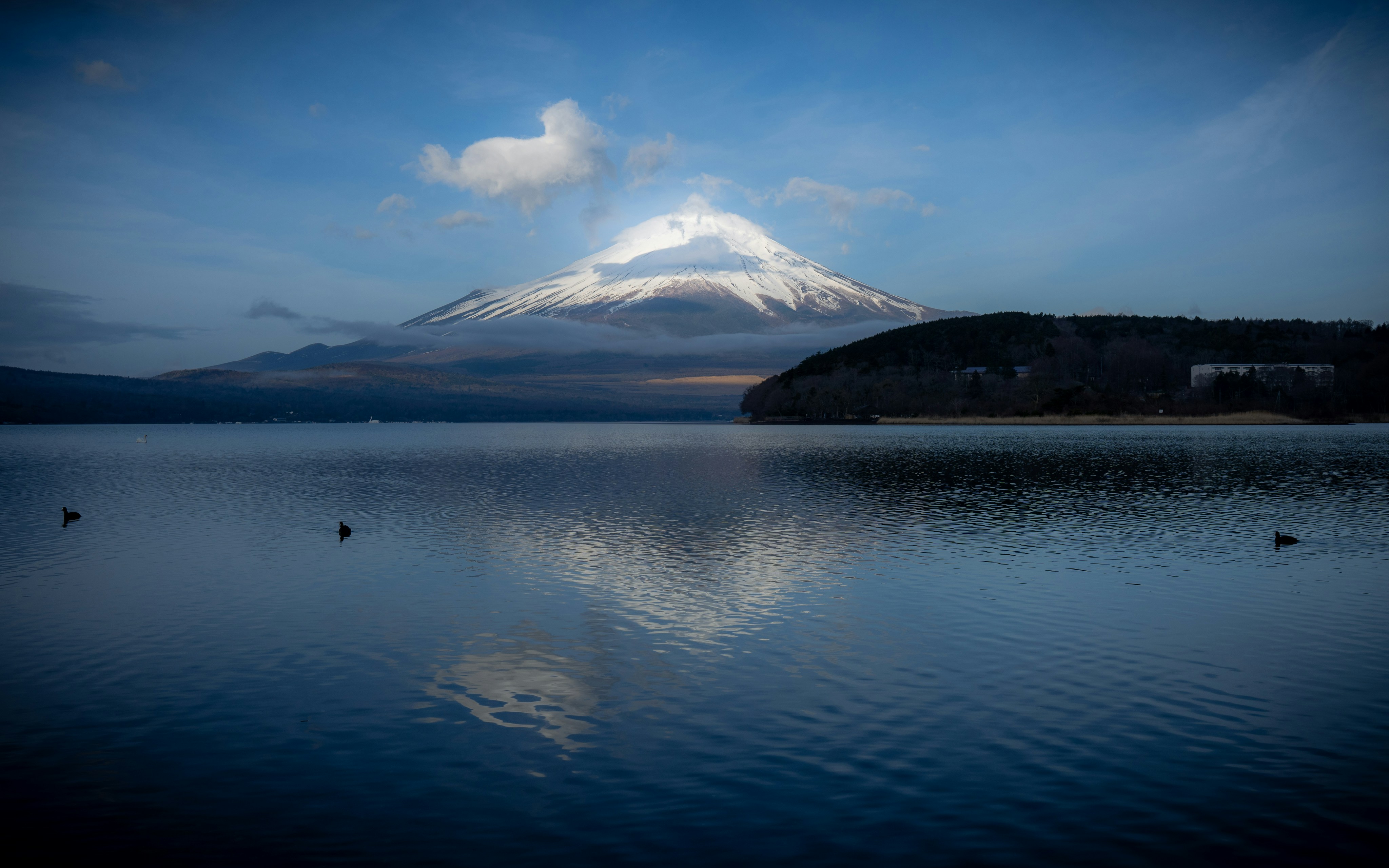 Shiga Prefecture