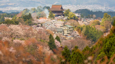 Yoshinoyama