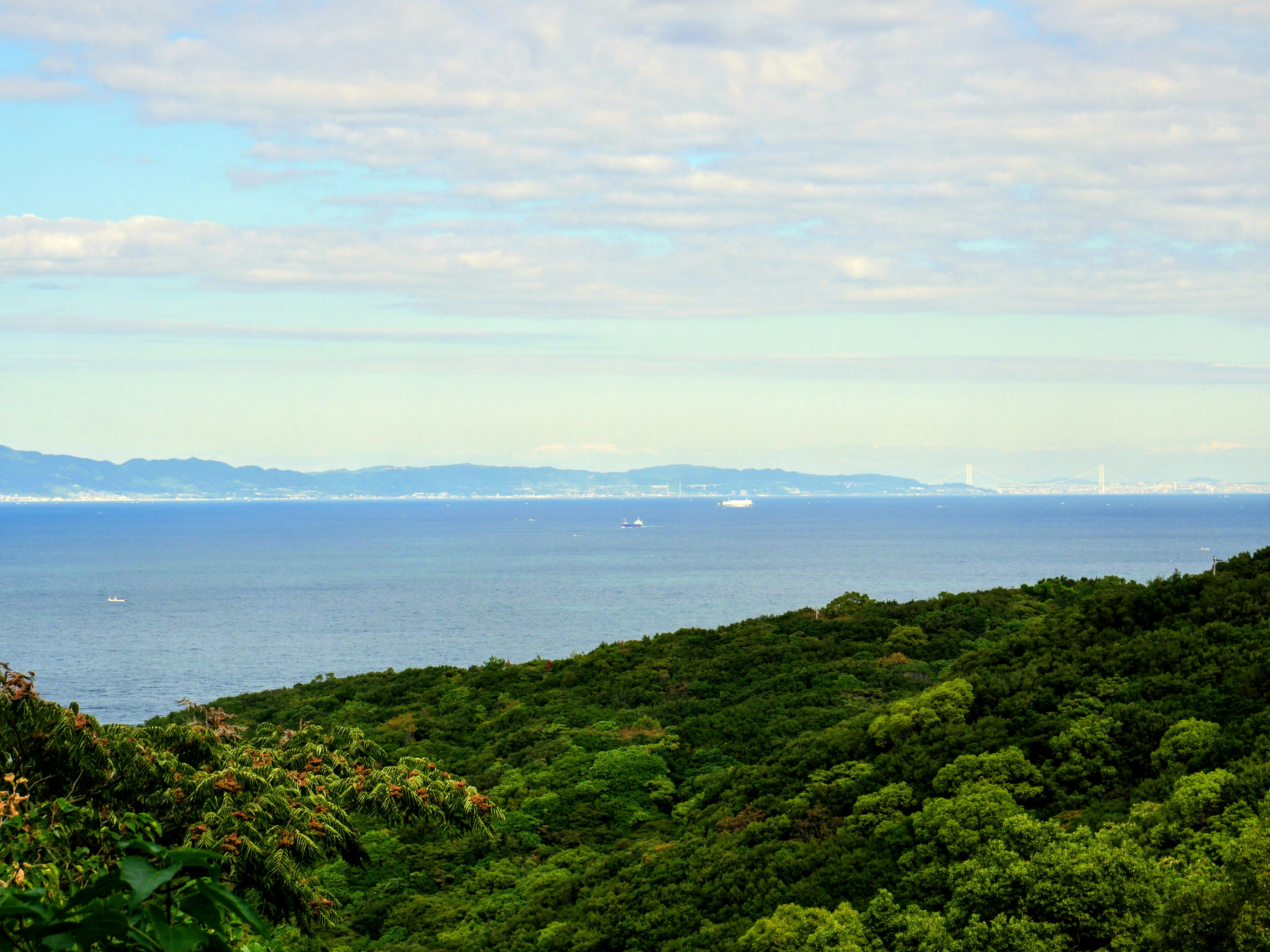 Kushimoto