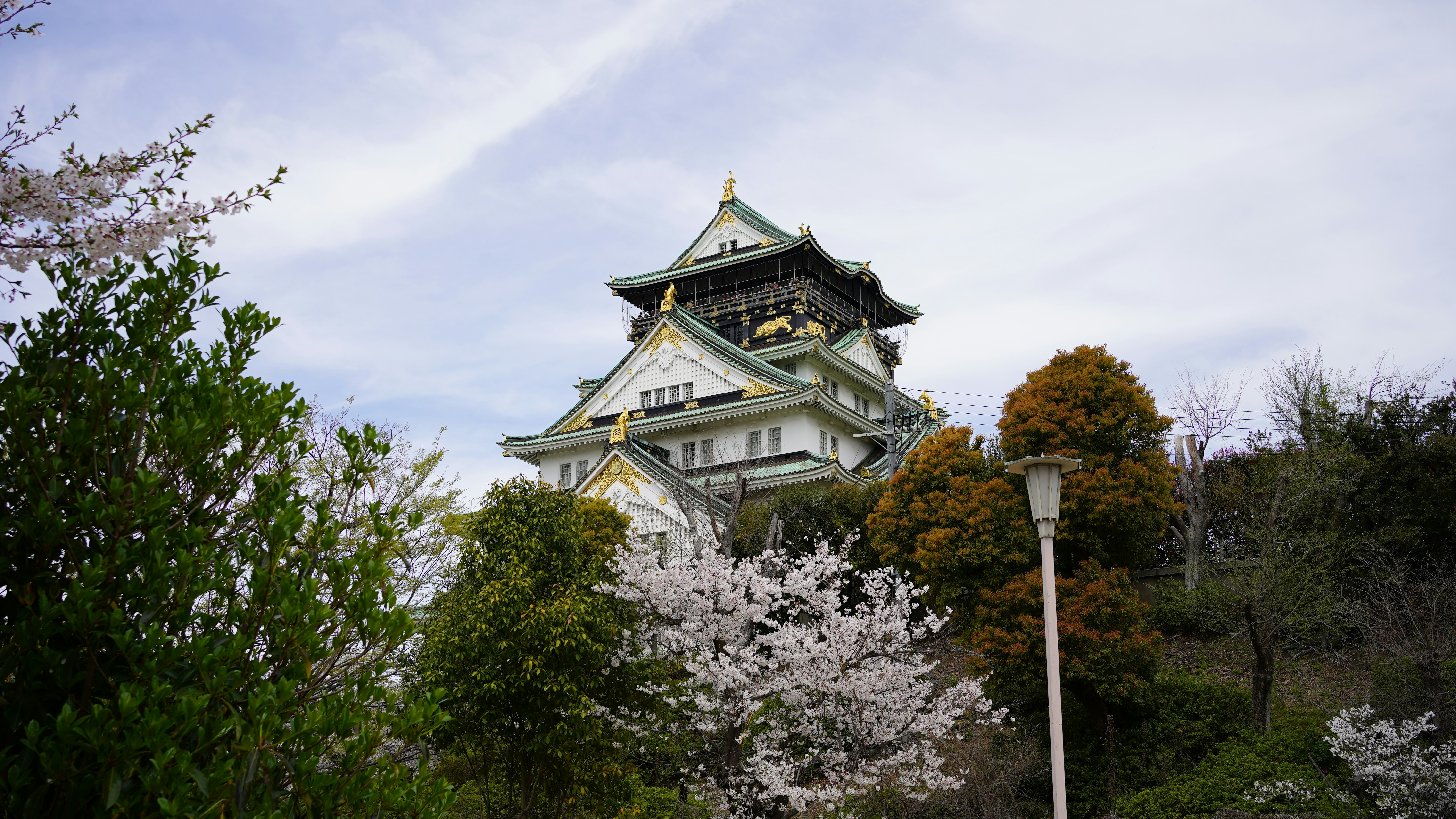 Wakayama