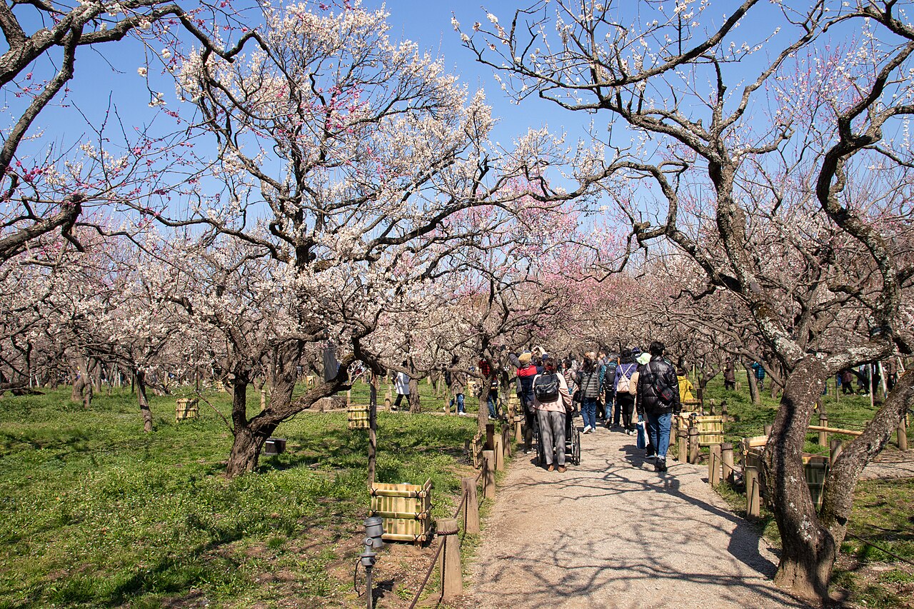 Kairakuen Garden