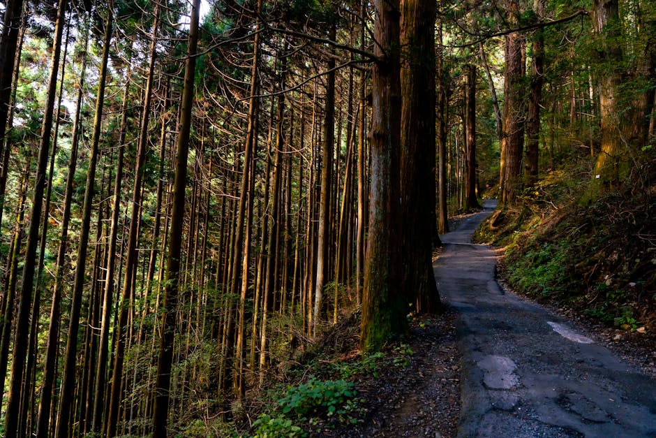 Chichibu Sanjūrokka-sho Pilgrimage