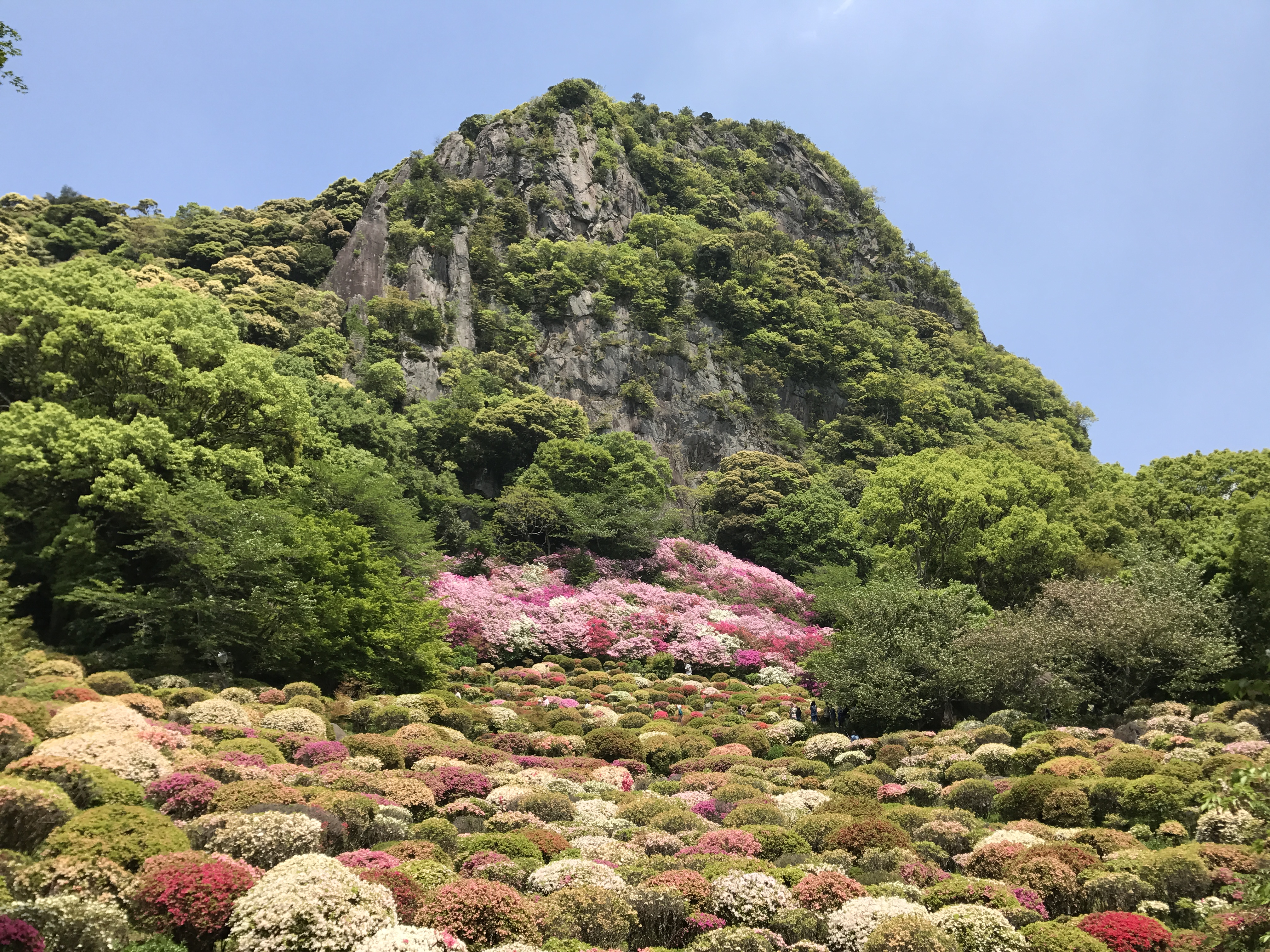 Arita