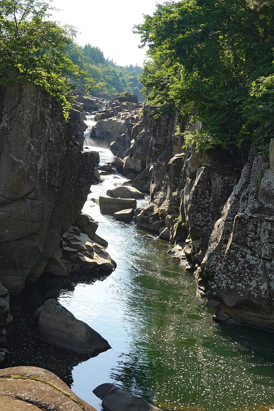 Koiwai Farm