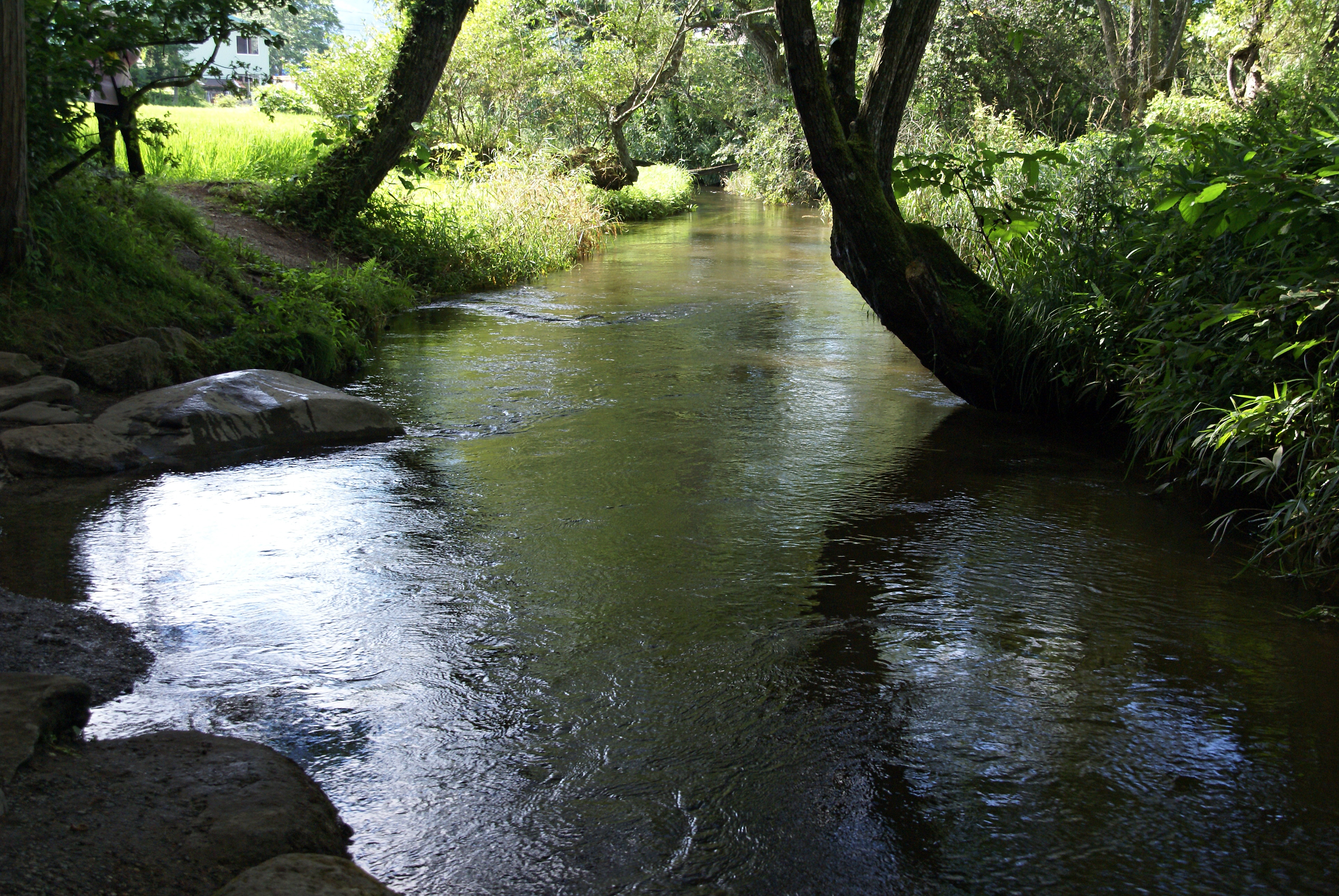 Geibikei Gorge